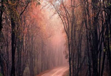 亚博官网：大连英博海发中超主场首秀 6万余名球迷到场助阵.