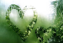 亚博官网：末节22-8！青岛男篮24分大胜新疆，杨瀚森22+15攻防一体 齐麟15+6.