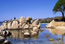 蒋圣龙：战沙特有些优势但红牌改变走向 之后每场要当最后一场踢.